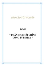 Báo cáo tốt nghiệp phân tích tài chính công ty bibica