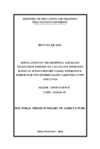 Application of chlorophyll and ratio vegetation indexes to calculate nitrogen rates at 10 days before tassel emergence period for two hybrid maize varieties lvn99 and lvn14