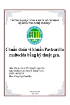 Chuẩn đoán vi khuẩn pasteurella multocida bằng kỹ thuật gen.