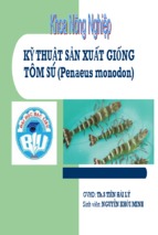 Bài thuyết trình kỹ thuật sản xuất giống tôm sú   penaeus monodon