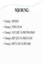 Báo cáo tốt nghiệp so sánh mười giống ngô lai đơn tại hưng thịnh, trảng bom, đồng nai