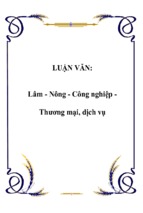 Lâm   nông   công nghiệp   thương mại, dịch vụ