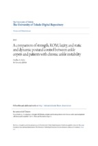 A comparison of strength, rom, laxity, and static and dynamic postural control between ankle copers and patients with chronic ankle instability