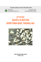 Kỹ thuật nuôi cá rô phi đơn tính đực trong ao