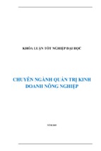 Khóa luận kinh doanh markrting gạo 2015