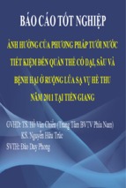 Báo cáo tốt nghiệp ảnh hưởng của phương pháp tưới nước tiết kiệm đến quần thể cỏ dại, sâu và bệnh hại ở ruộng lúa sạ vụ hè thu năm 2011 tại tiền giang