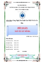 Tiểu luận sản xuất sôđa