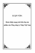 Hoàn thiện mạng lưới tiêu thụ sản phẩm của tổng công ty thép việt nam