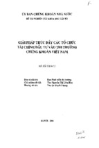 Giải pháp thúc đẩy các tổ chức tài chính đầu tư vào thị trường chứng khoán việt nam