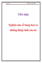 Tiểu luận nghiên cứu về hàng hoá và những thuộc tính của nó