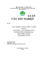 Thử nghiệm ương nuôi cá xiêm (betta splendes) và cá bống tượng (oxyeleotris marmorata) bằng trùn giấm (tubatrix aceti).