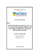 Phân tích hiệu quả sử dụng vốn tại các công ty ngành thực phẩm và đồ uống niêm yết trên sàn giao dịch chứng khoán thành phố hồ chí minh