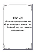 Kế toán tiêu thụ hàng hoá và xác định kết quả hoạt động kinh doanh tại công ty cổ phần xuất nhập khẩu vật tư nông nghiệp và nông sản