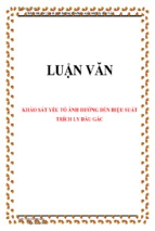 Khảo sát yếu tố ảnh hưởng đến hiệu suất trích ly dầu gấc