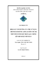 Khảo sát ảnh hưởng của việc sử dụng chế phẩm enzyme amylase đến tốc độ thủy phân tinh bột trong quá trình lên men rượu nếp than