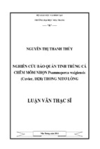 Nghiên cứu bảo quản tinh trùng cá chẽm mõm nhọn psammoperca waigiensis (cuvier, 1828) trong nitơ lỏng