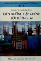 Báo cáo thường niên kinh tế việt nam 2013  trên con đường gập ghềnh tới tương lai  nguyễn đức thành (chủ biên) và những người khá