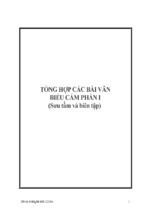 Tổng hợp các bài văn phát biểu cảm tưởng phần i