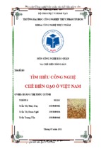 đề tài tìm hiểu công nghệ chế biến gạo ở việt nam