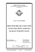 Phân tích hiệu quả chăn nuôi vịt đẻ chạy đồng tại huyện gò quao, tỉnh kiên giang