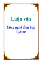 Công nghệ tổng hợp lysine