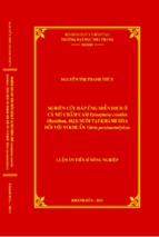 Nghiên cứu đáp ứng miễn dịch ở cá mú chấm cam epinephelus coioides (hamilton, 1822) nuôi tại khánh hòa đối với vi khuẩn vibrio parahaemolyticus