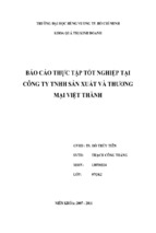 Một số biện pháp nhằm nâng cao hiệu quả hoạt động sản xuất kinh doanh ở công ty tnhh sản xuất và thương mại việt thành