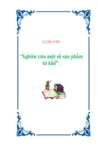 Luận văn nghiên cứu một số sản phẩm từ khế