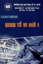 Giáo trình kinh tế vi mô 1  hay sinh (chủ biên) và các tác giả khá