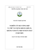 Nghiên cứu bán tổng hợp và thử tác dụng kháng khuẩn, kháng nấm của một số dẫn chất curcumin