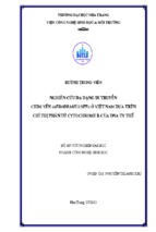 Nghiên cứu đa dạng di truyền chim yến (aerodramus spp.) ở việt nam dựa trên chỉ thị phân tử cytochrome b của dna ty thể