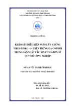 Khảo sát điều kiện nuôi cấy chủng virus nibrg 14 trên trứng gà có phôi trong sản xuất vắc xin cúm ah5n1 ở quy mô công nghiệp