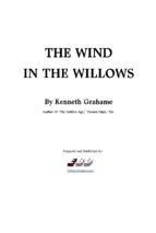 Thewindinthewillows