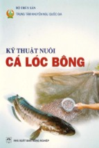 Kỹ thuật nuôi cá lóc bông