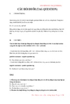 [gstt.vn] tag question