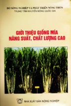 Giới thiệu giống mía năng suất chất lượng cao