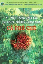 Kỹ thuật trồng chăm sóc thu hoạch chế biến và bảo quản cà phê chè