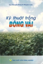 Kỹ thuật trồng bông vải