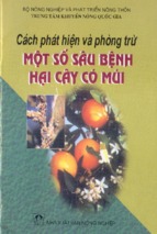 Cách phát hiện và phòng trừ mọt số sâu bệnh hại cây có múi