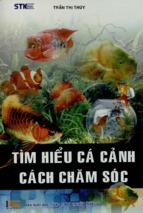 Tìm hiểu cá cảnh cách chăm sóc  trần thị thúy (tổng hợp)