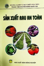 Sản xuât rau an toàn