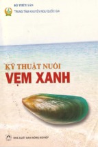 Kỹ thuật nuôi vẹm xanh