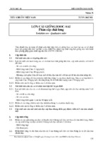 Lợn cái giống yorkshire. phân cấp chất lượng