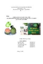Chiến lược xuất khẩu trực tiếp sản phẩm bưởi tân triều sang thị trường đức của dntn quê hương tân triều