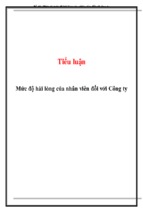 Tiểu luận khảo sát mức độ hài lòng của nhân viên đối với công ty