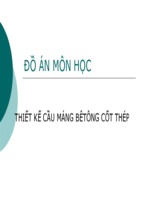 đồ án môn học thiết kế cầu máng bêtông cốt thép