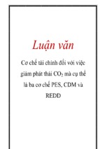 Cơ chế tài chính đối với việc giảm phát thải co2 mà cụ thể là ba cơ chế pes, cdm và redd