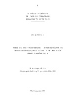 Tìm hiểu kỹ thuật nuôi thương phẩm tôm he chân trắng (penaeus vannamei boone, 1931) tại xã phước thể, huyện tuy phong, tỉnh bình thuận