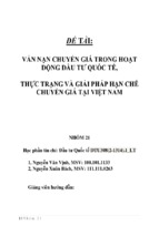 Tiểu luận đầu tư quốc tế vấn nạn chuyển giá trong hoạt động đầu tư quốc tế, thực trạng và giải pháp hạn chế chuyển giá tại việt nam