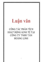 Công tác phân tích hoạt động kinh tế tại công ty tnhh tân hoàng linh